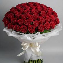 Букет 101 Красная роза Блэк Мэджик в Кипень