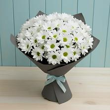 Букет цветов из:  Хризантемы в Кипень