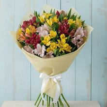 Букет цветов из:  Альстромерии в Кипень