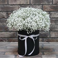 Цветочная композиция из Гипсофила в шляпной коробке в Кипень