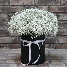 Цветочная композиция из Гипсофила в шляпной коробке в Кипень