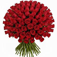 Букет Красные розы Чери Лав в Кипень