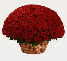 Премиум букет из: Розы в Кипень