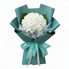 Букет цветов из:  Гортензия в Кипень